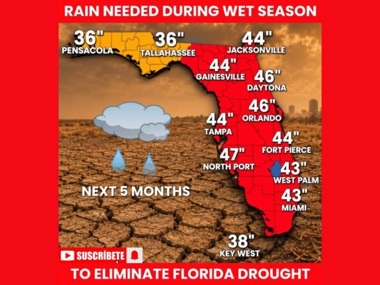 Florida Needs 3 to 4 Feet of Rain Over the Next 5 Months to Eliminate Historic Drought Across Miami Orlando Tampa Jacksonville and North Port