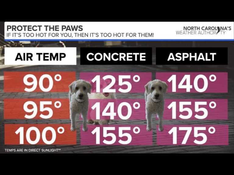 Hot Pavement Warning for Pet Owners Across North Carolina as Warmer Weather Moves In With Asphalt Reaching 175 Degrees When Air Temps Hit 100