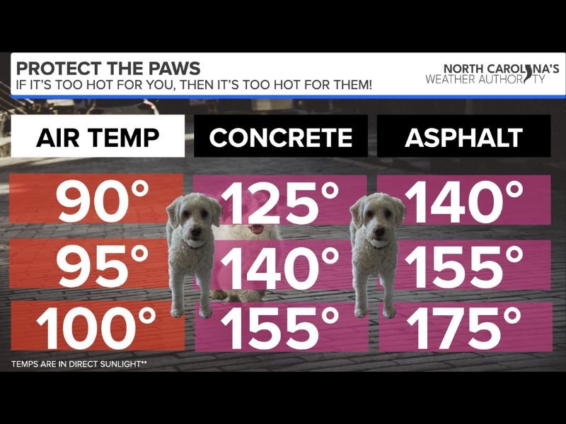 Hot Pavement Warning for Pet Owners Across North Carolina as Warmer Weather Moves In With Asphalt Reaching 175 Degrees When Air Temps Hit 100