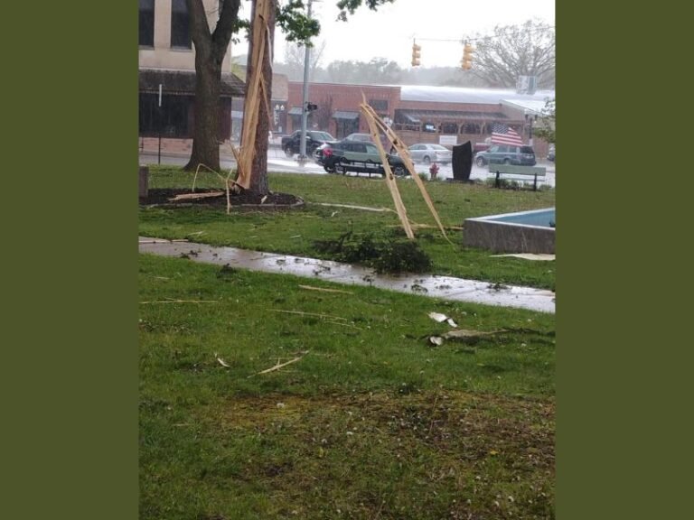 Lightning Strikes Tree in Downtown Hillsdale Michigan Splintering It Into Pieces With Debris Embedded Into Ground as Nearby Residents Narrowly Escape Injury Saturday