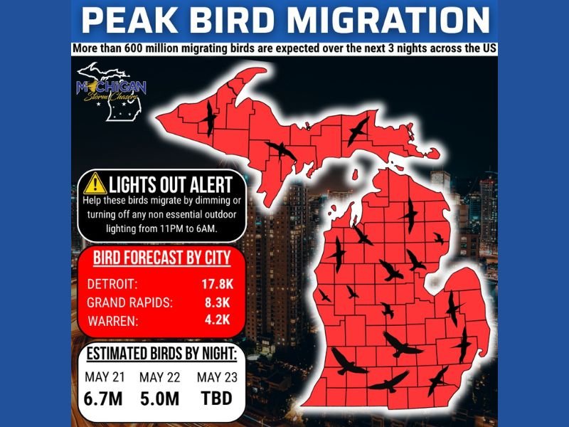 Peak Bird Migration Bringing Over 11 Million Birds Across Michigan Including Detroit, Grand Rapids, and Warren With 600 Million Expected Nationwide Over the Next 3 Nights